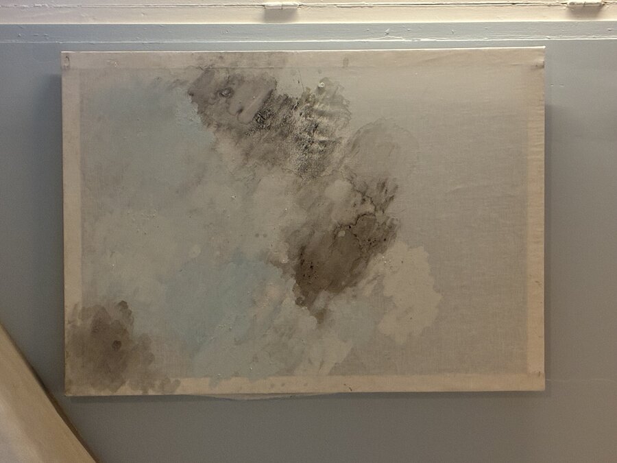 alice schyler mallet, ciels