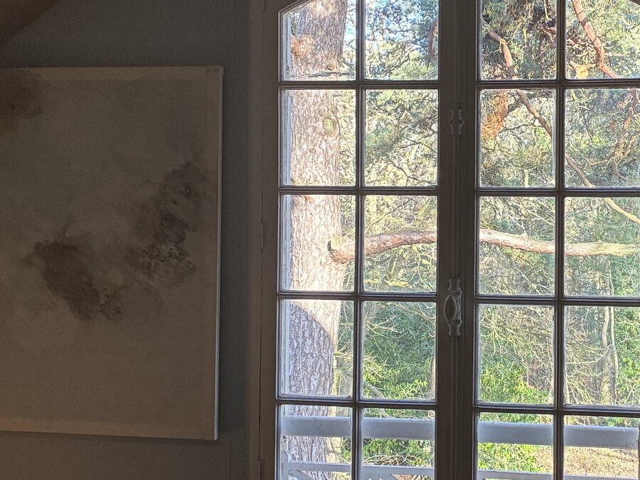 alice schyler mallet, ciels