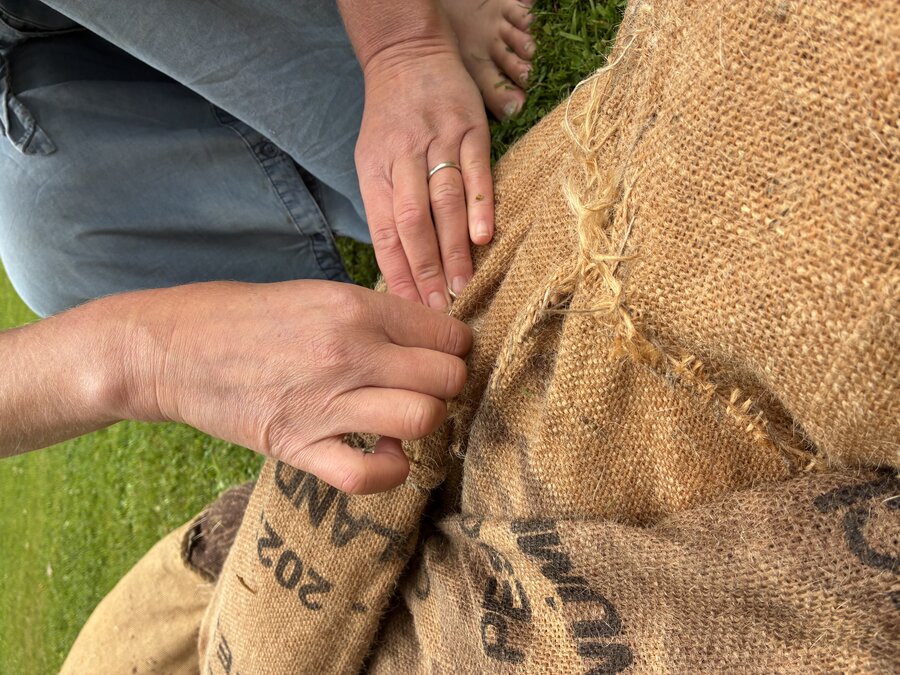 alice schyler mallet, la tresse