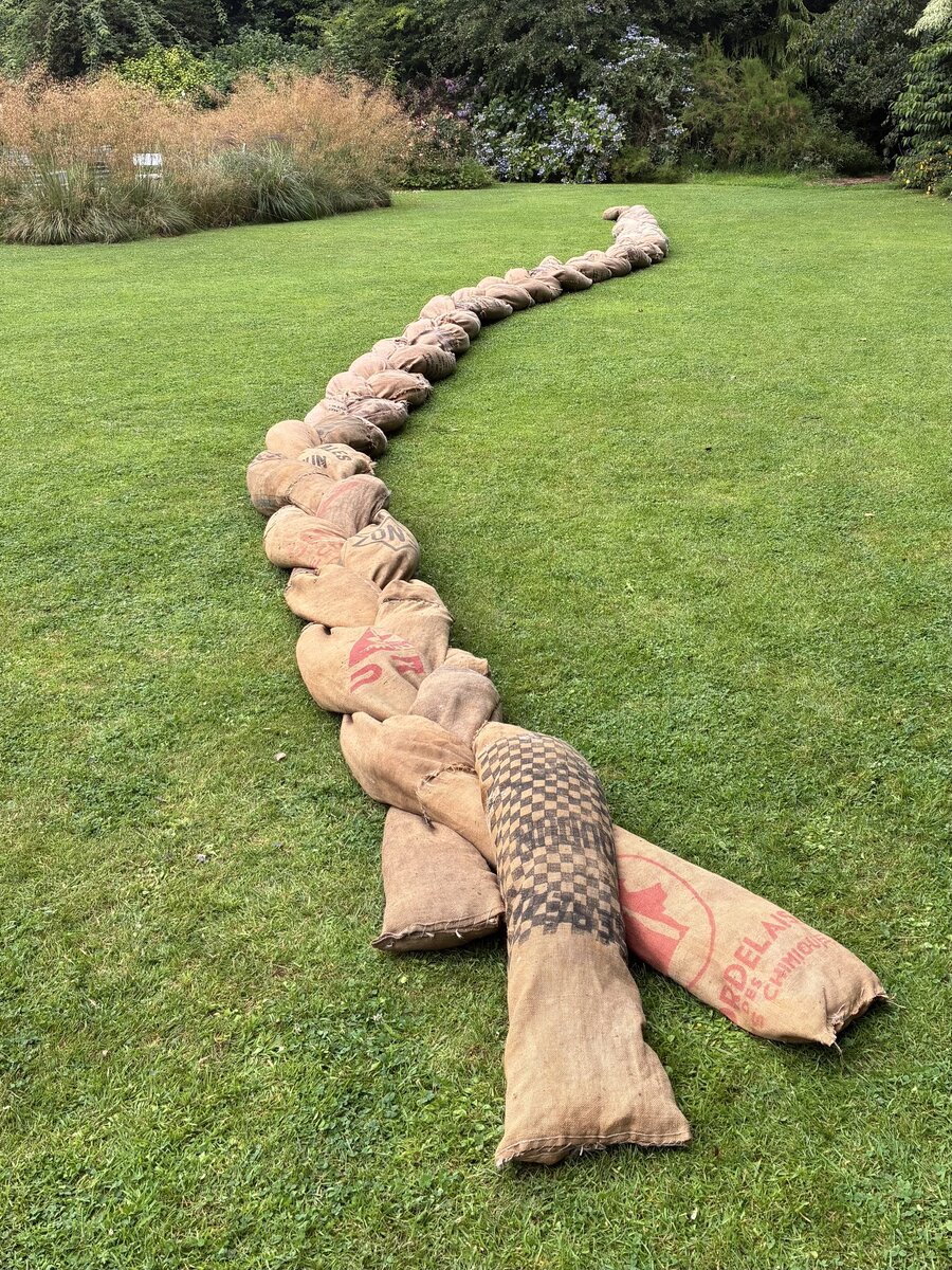 alice schyler mallet, la tresse