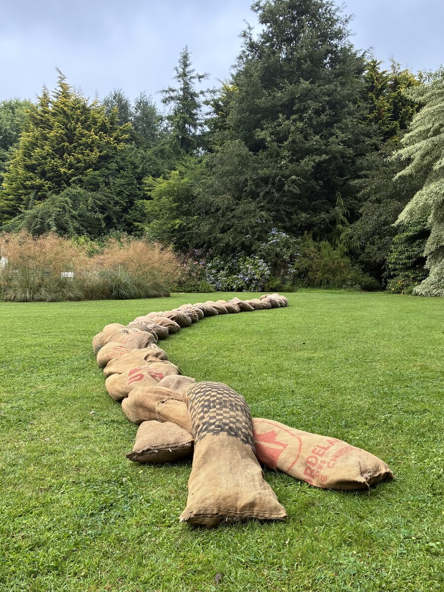 alice schyler mallet, la tresse