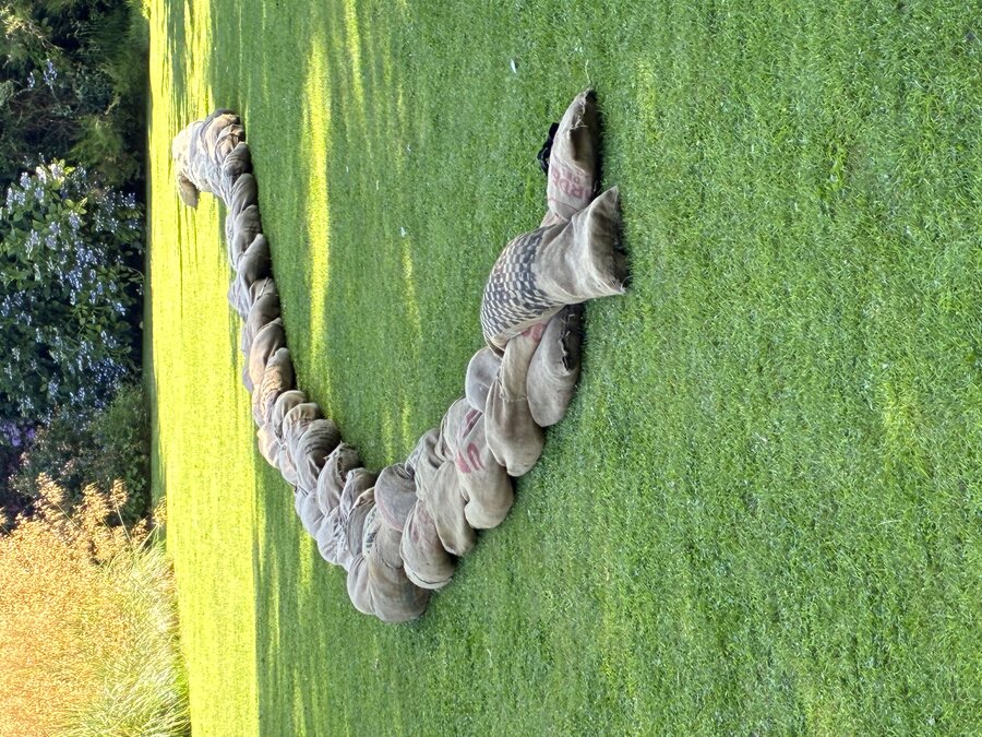 alice schyler mallet, la tresse