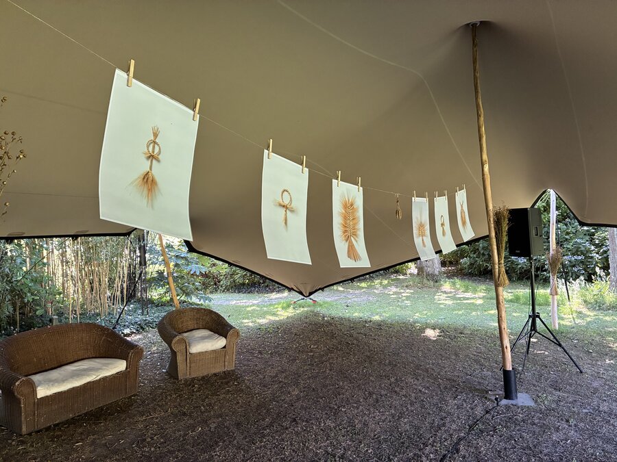 alice schyler mallet, la tresse