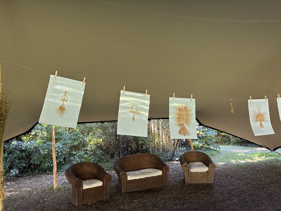 alice schyler mallet, la tresse