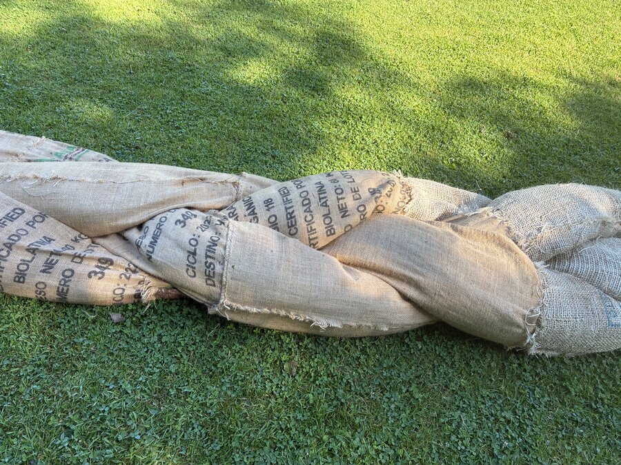 alice schyler mallet, la tresse