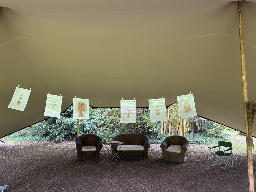 alice schyler mallet, la tresse