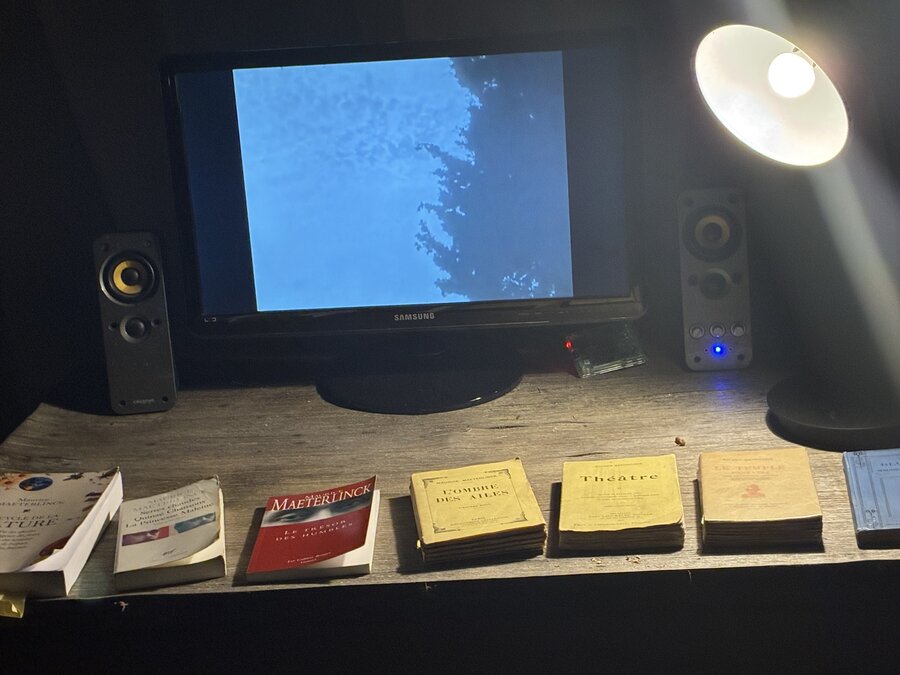 alice schyler mallet, nuit maeterlinck