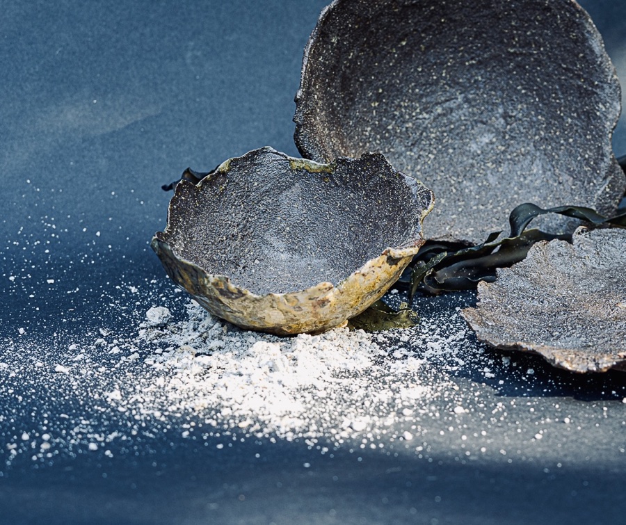 alice schyler mallet, terres sauvages ceramiques