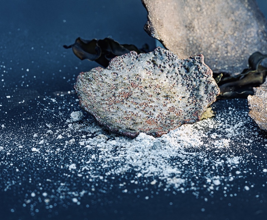 alice schyler mallet, terres sauvages ceramiques