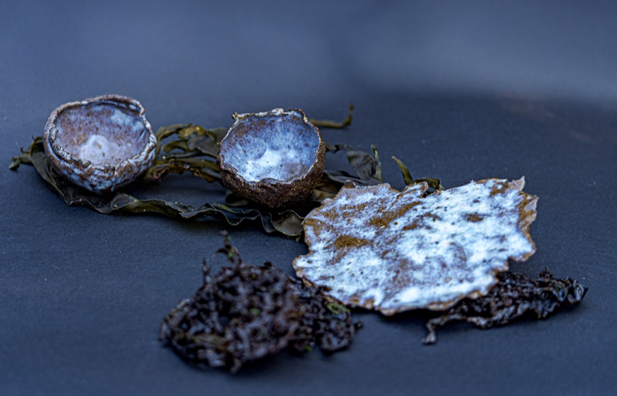 alice schyler mallet, terres sauvages ceramiques