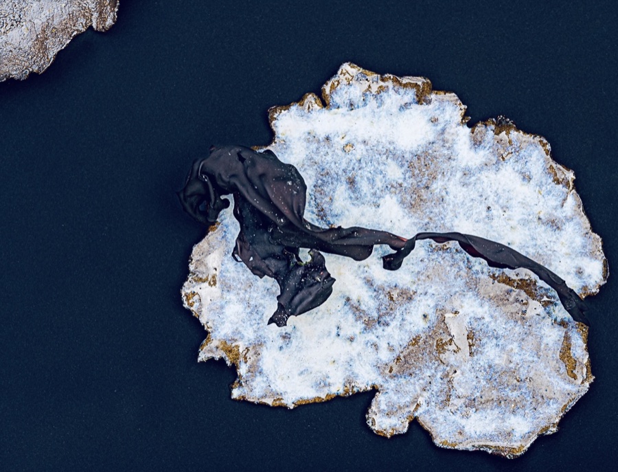 alice schyler mallet, terres sauvages ceramiques