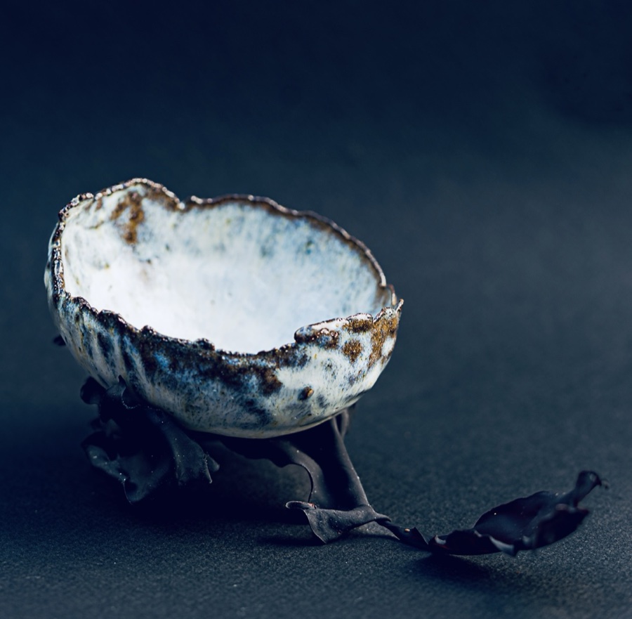 alice schyler mallet, terres sauvages ceramiques