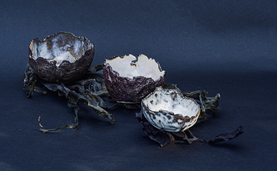 alice schyler mallet, terres sauvages ceramiques