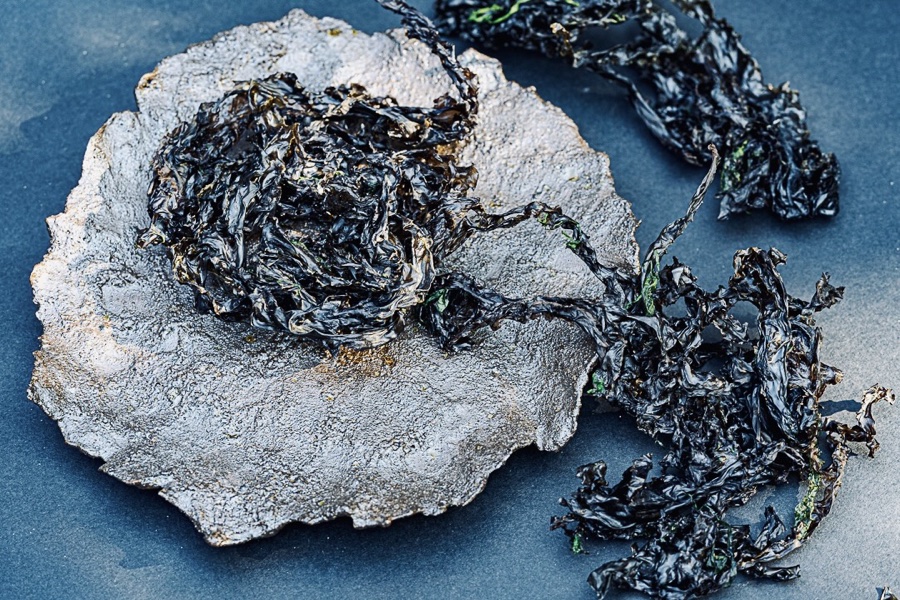 alice schyler mallet, terres sauvages ceramiques