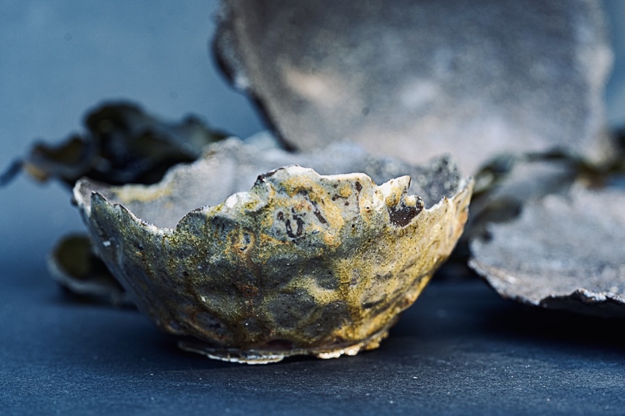 alice schyler mallet, terres sauvages ceramiques