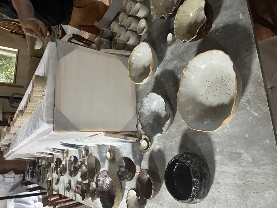 alice schyler mallet, terres sauvages ceramiques