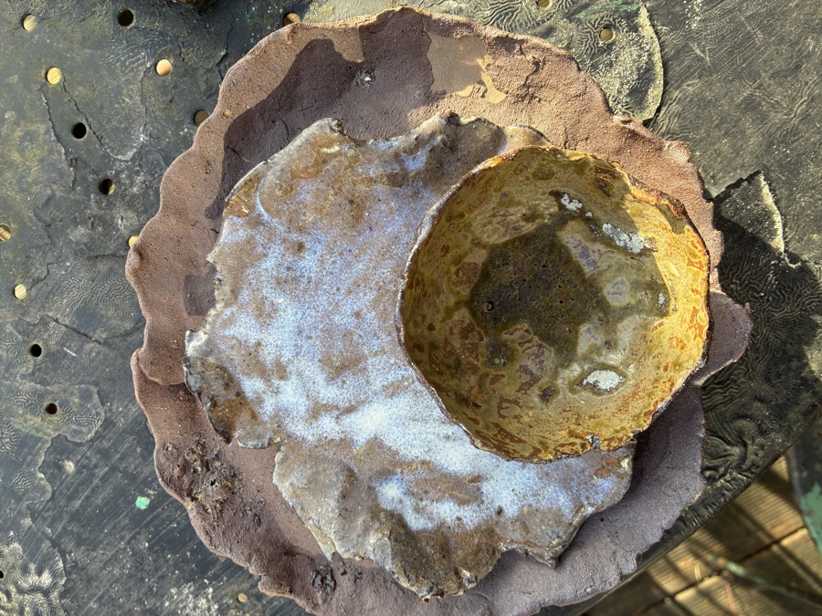 alice schyler mallet, terres sauvages ceramiques