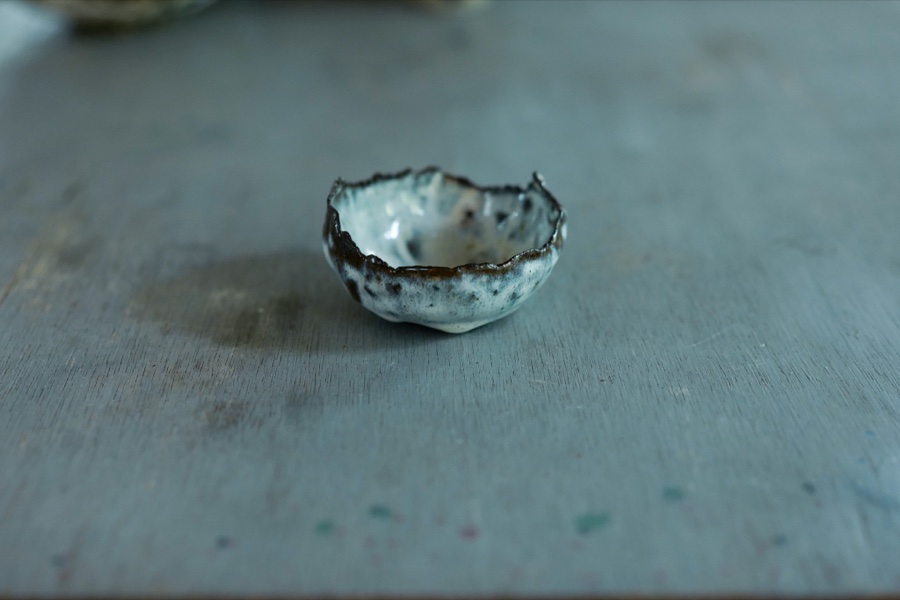 alice schyler mallet, terres sauvages ceramiques