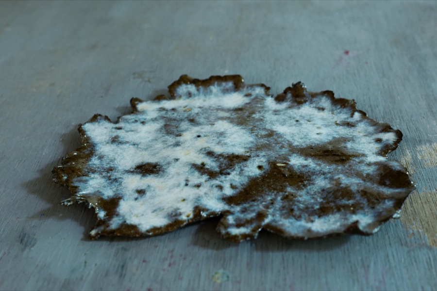 alice schyler mallet, terres sauvages ceramiques