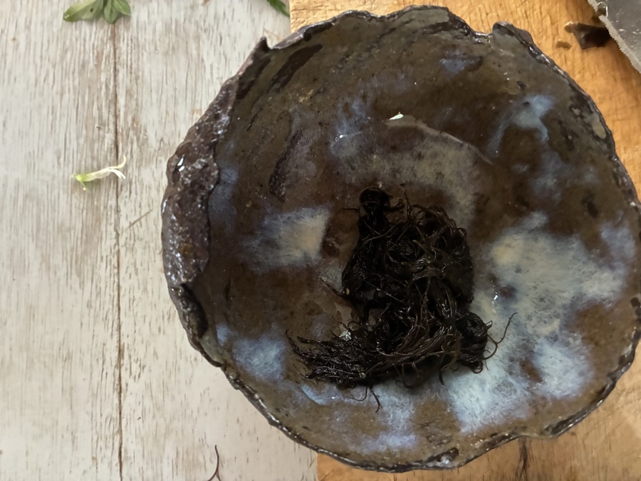 alice schyler mallet, terres sauvages plantes