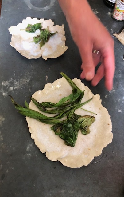 alice schyler mallet, terres sauvages plantes