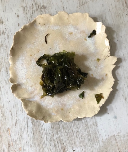 alice schyler mallet, terres sauvages plantes