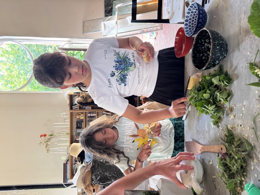 alice schyler mallet, terres sauvages plantes