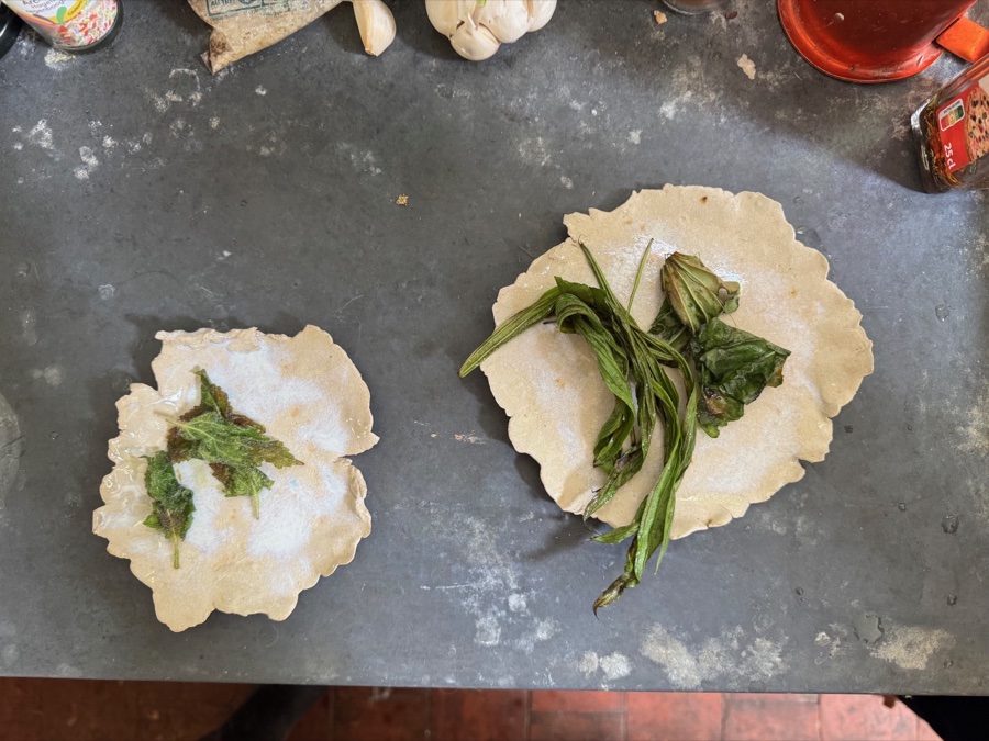 alice schyler mallet, terres sauvages plantes