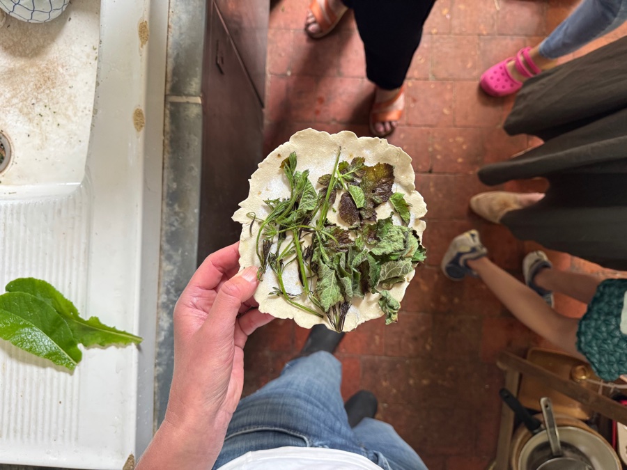 alice schyler mallet, terres sauvages plantes