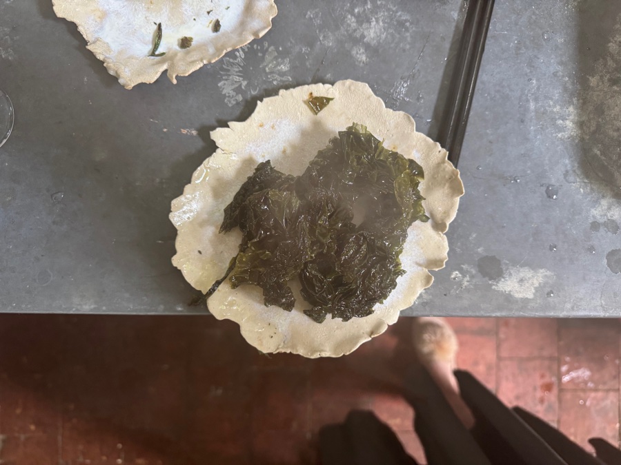 alice schyler mallet, terres sauvages plantes