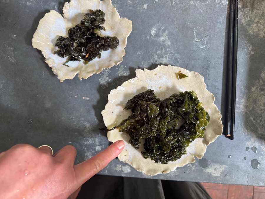 alice schyler mallet, terres sauvages plantes