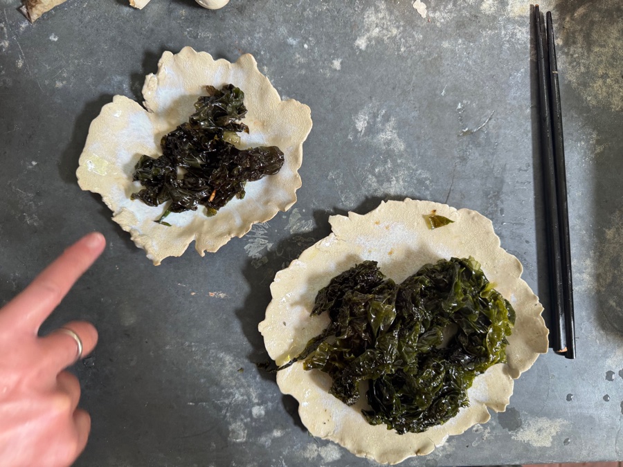 alice schyler mallet, terres sauvages plantes