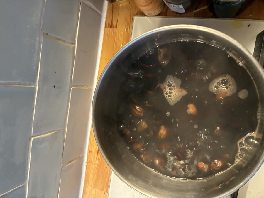 alice schyler mallet, terres sauvages teintures