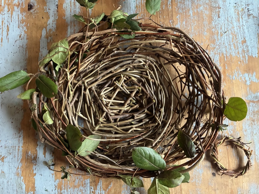 alice schyler mallet, terres sauvages vanneries